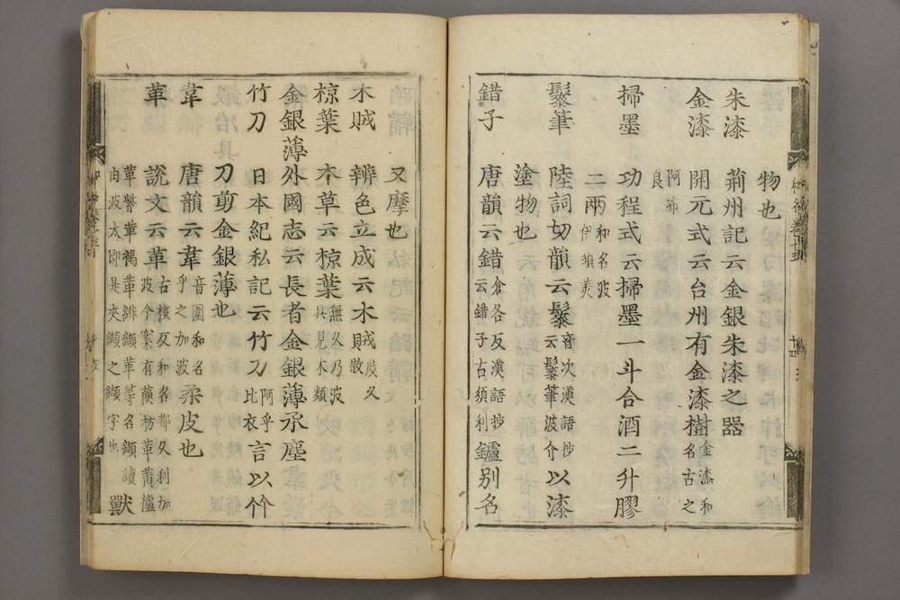 Doppelseite eines Buches mit systematisch angeordneten chinesischen Schriftzeichen.