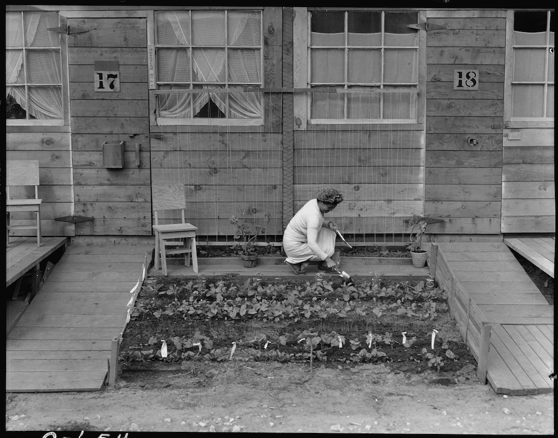 Eine Frau kümmert sich um die Pflanzen in den drei kleinen Beeten vor ihrem Bretterverschlag.