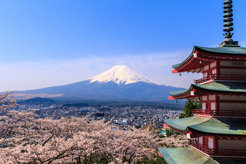 Im Vordergrund eine Pagode und rosa Kirschblüten, im Hintergrund vor dem blauen Himmel der schneebedeckte Berg Fuji.